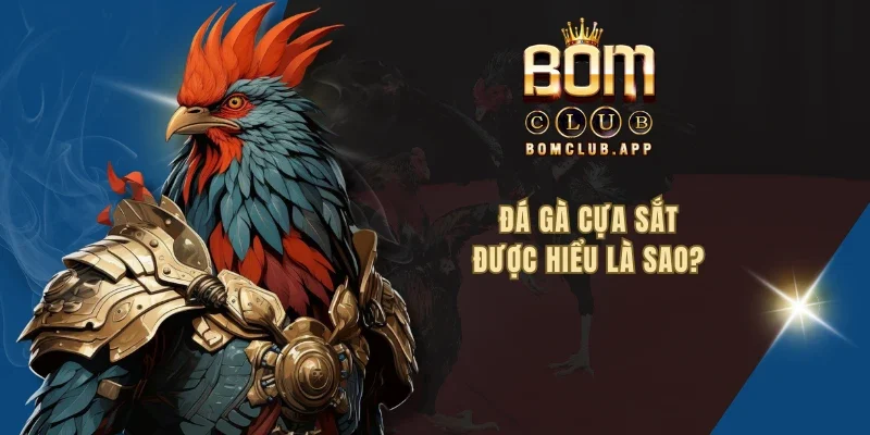 Đá gà cựa sắt được hiểu là sao?