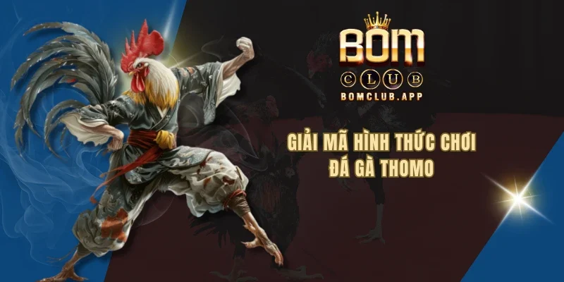 Giải mã hình thức chơi đá gà thomo