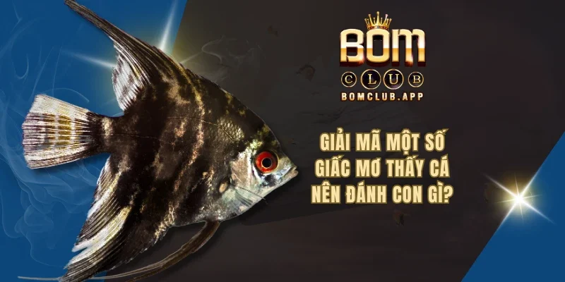 Giải mã một số giấc mơ thấy cá - Nên đánh con gì?