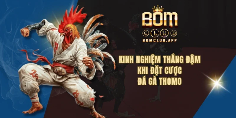 Kinh nghiệm thắng đậm khi đặt cược đá gà thomo