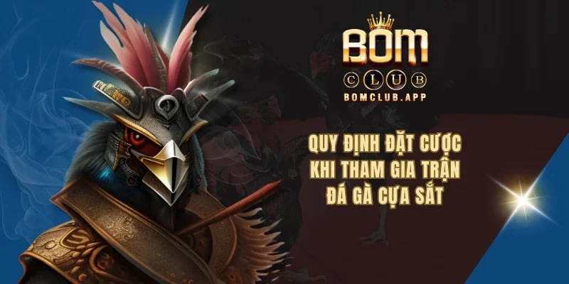Quy định đặt cược khi tham gia trận đá gà cựa sắt