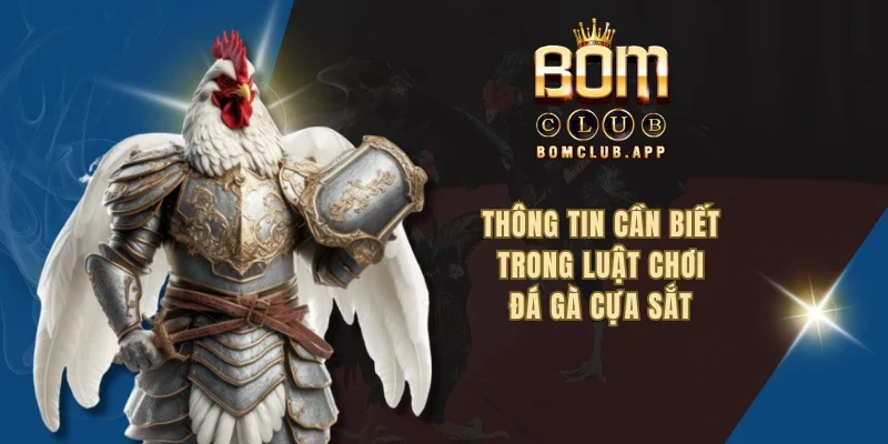 Thông tin cần biết trong luật chơi đá gà cựa sắt