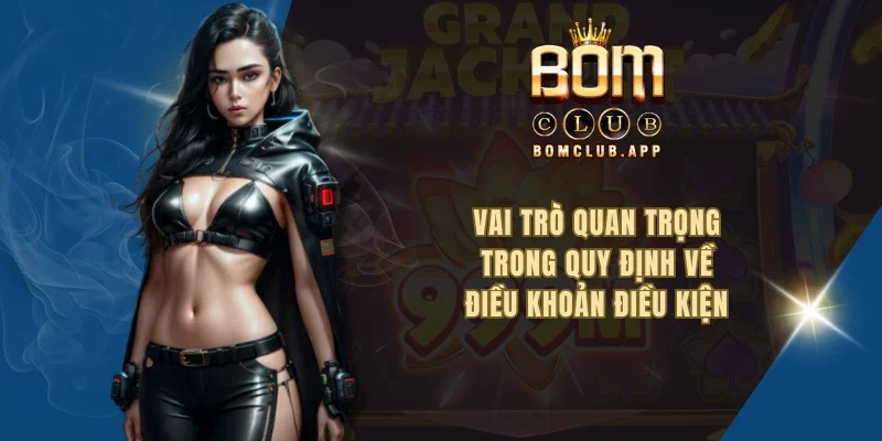 Vai trò quan trọng trong quy định về điều khoản điều kiện